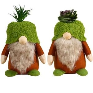 Set of 2 succulent gnomes. New in packaging
